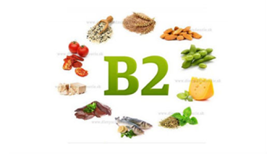 Vai trò của Vitamin B2 đối với cơ thể